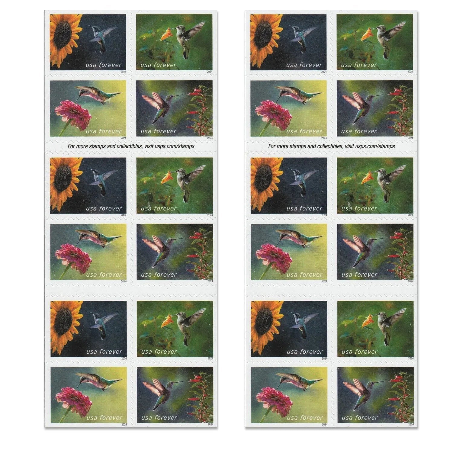 2024 Garden Delights Forever First Class Postage Stamps - Image 2