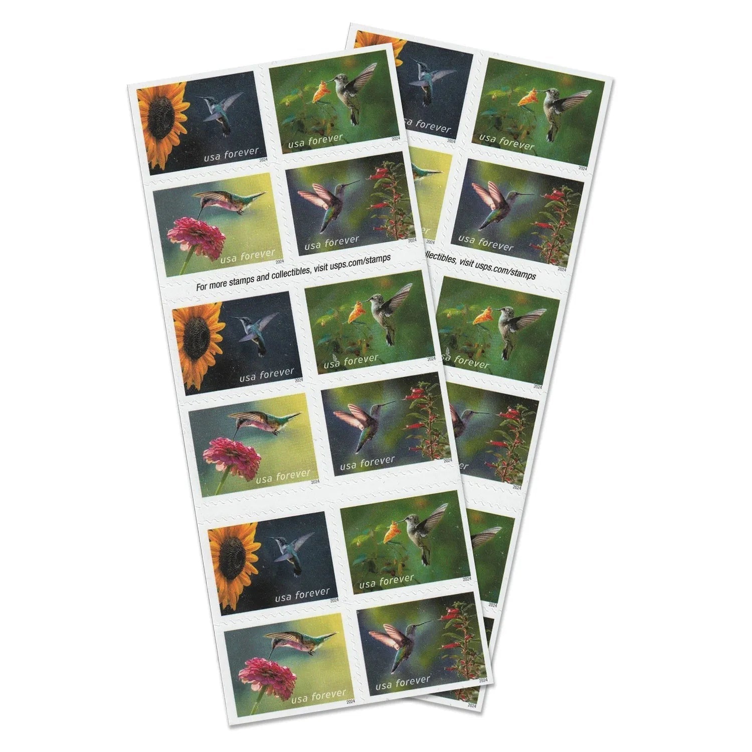 2024 Garden Delights Forever First Class Postage Stamps - Image 3