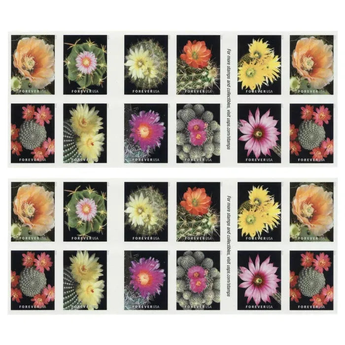 2019 Cactus Flowers Forever First Class Postage Stamps - Image 2