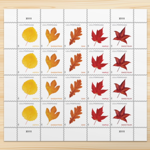 2025 Vibrant Leavea Postcard Forever First Class Postage Stamps (For Postcard Only)