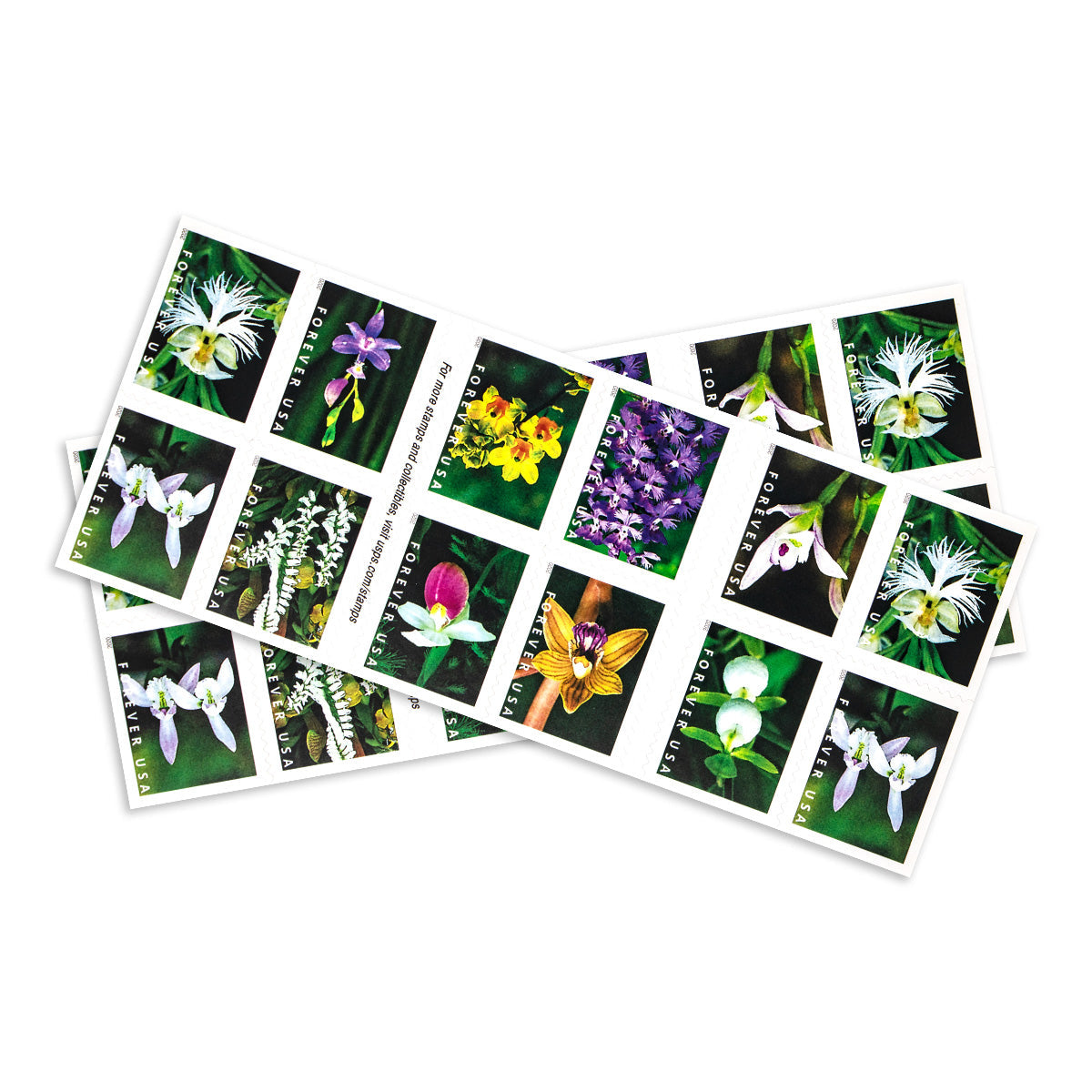 2020 Wild Orchids Forever First Class Postage Stamps - Image 3