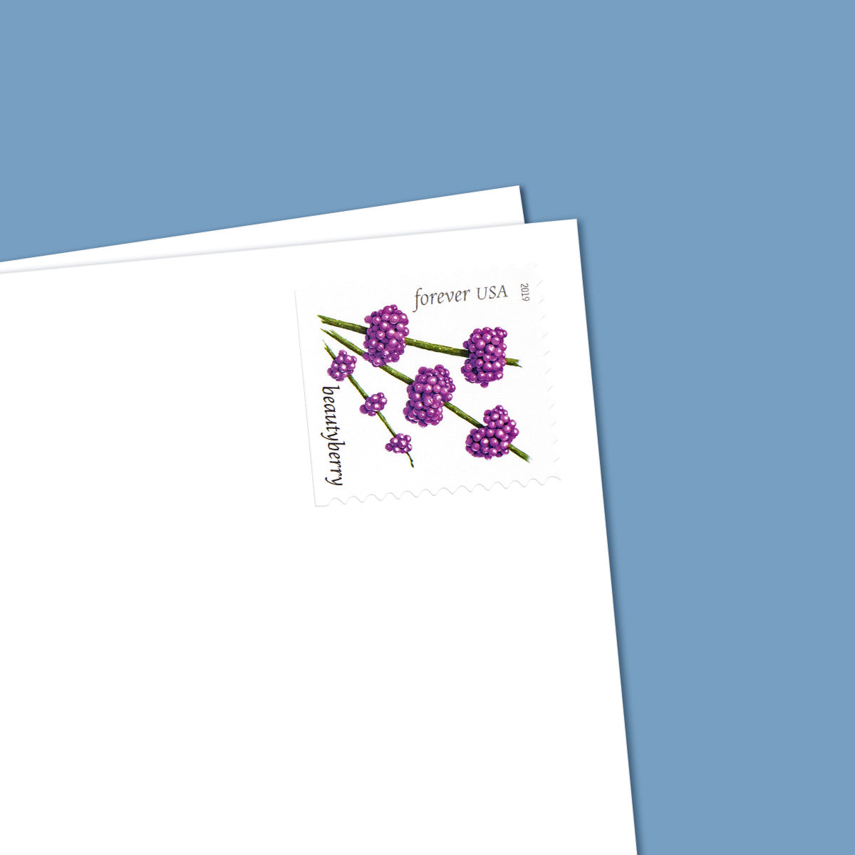 2019 Winter Berries Forever First Class Postage Stamps - Image 7