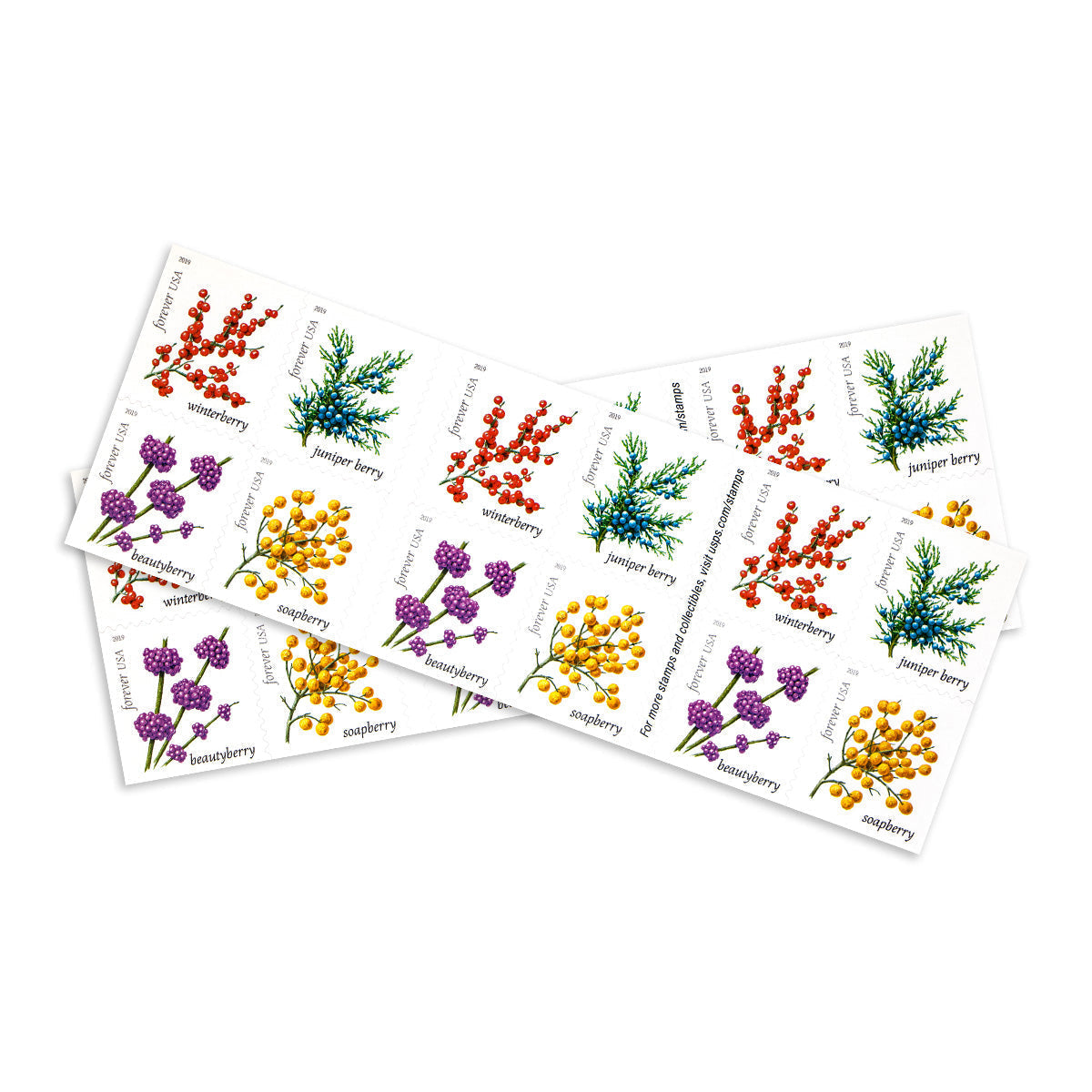 2019 Winter Berries Forever First Class Postage Stamps - Image 3