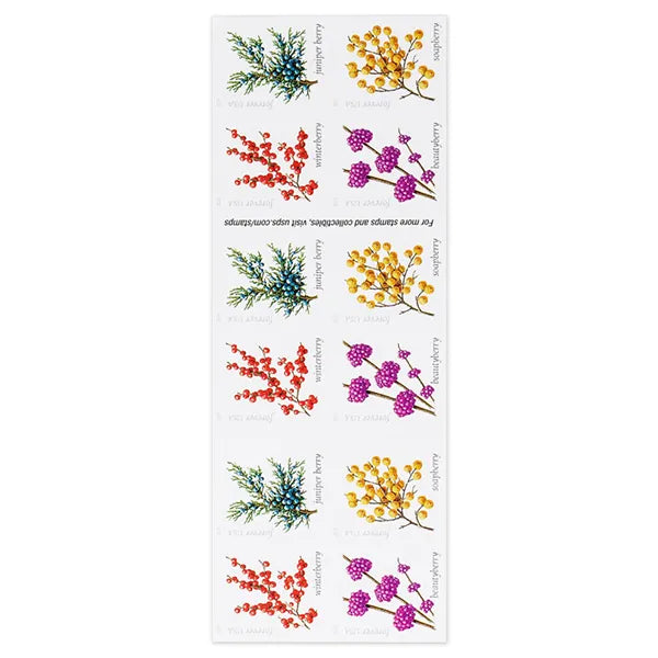 2019 Winter Berries Forever First Class Postage Stamps - Image 4