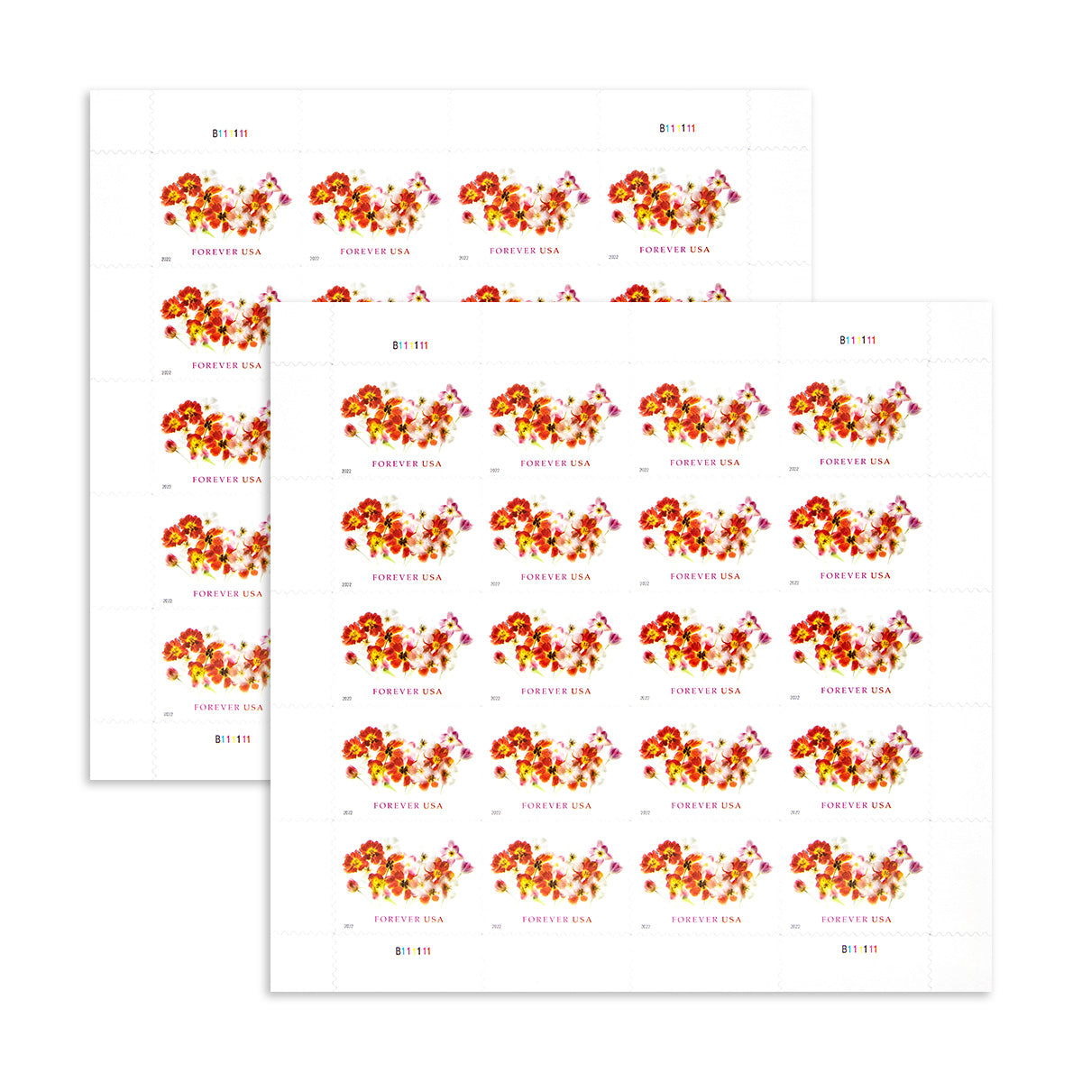 2022 Tulips Forever First Class Postage Stamps - Image 3