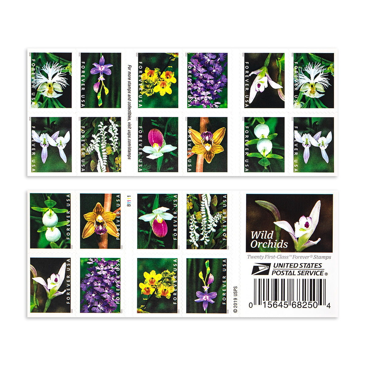 2020 Wild Orchids Forever First Class Postage Stamps - Image 2