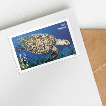 2024 Protect Sea Turtles Forever First Class Postage Stamps - Image 2