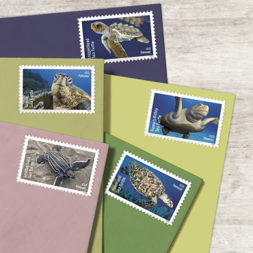 2024 Protect Sea Turtles Forever First Class Postage Stamps - Image 3