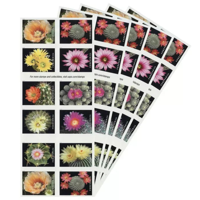 2019 Cactus Flowers Forever First Class Postage Stamps - Image 3