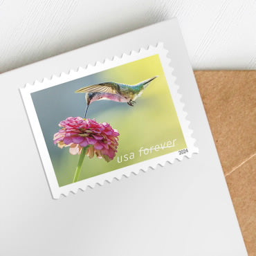 2024 Garden Delights Forever First Class Postage Stamps - Image 5