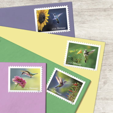 2024 Garden Delights Forever First Class Postage Stamps - Image 4