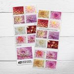 2025 Dahlias Stamps Forever First Class Postage Stamps