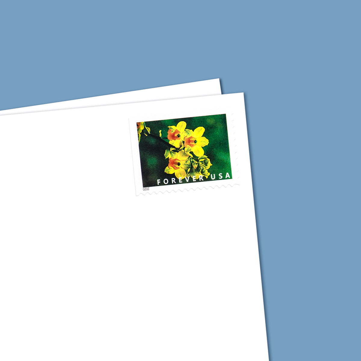 2020 Wild Orchids Forever First Class Postage Stamps - Image 5