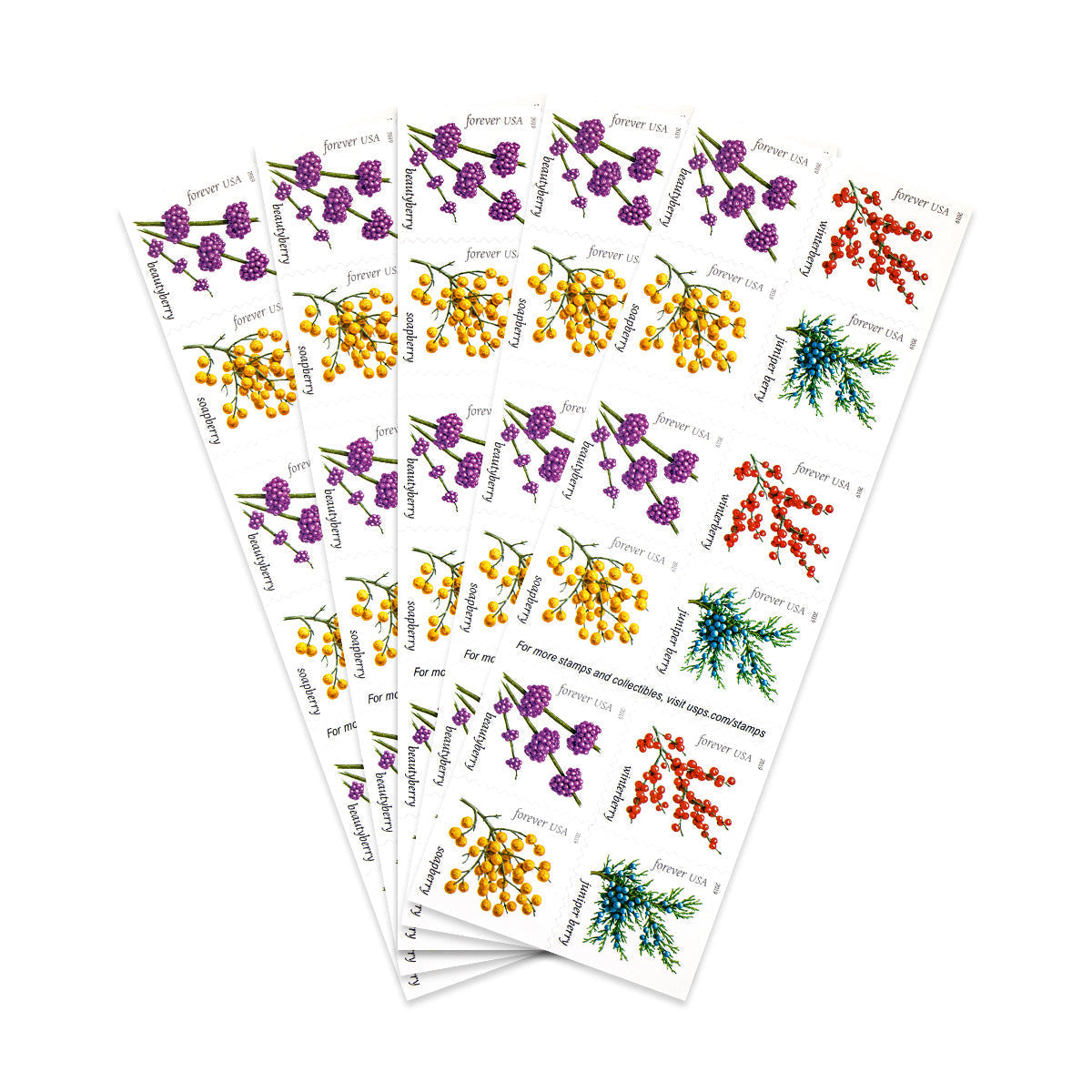 2019 Winter Berries Forever First Class Postage Stamps - Image 6