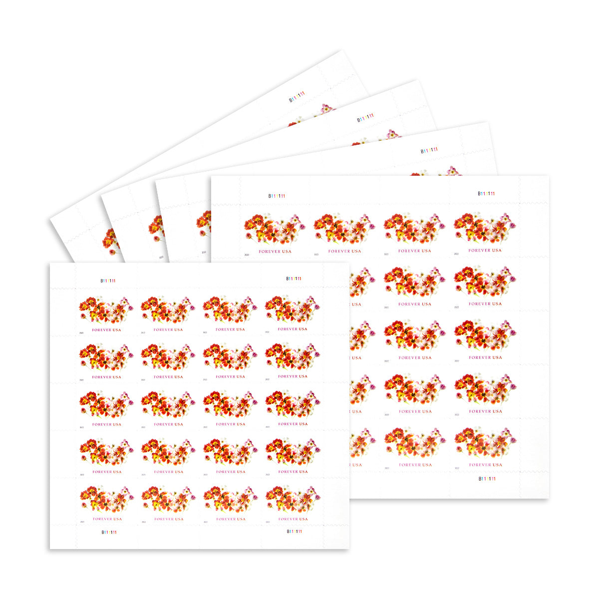 2022 Tulips Forever First Class Postage Stamps - Image 4
